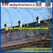 From China Manufacture Razor Barbed Wire/Stranded